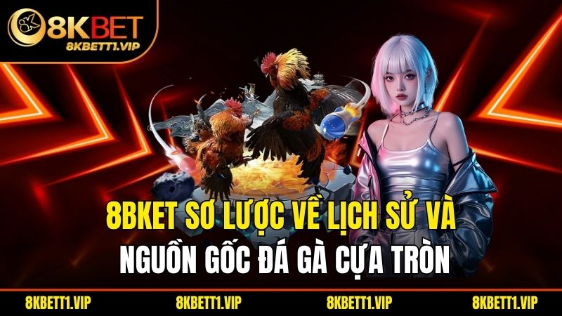 Đá Gà Cựa Tròn - Khám Phá Thế Giới Truyền Thống Đầy Hấp Dẫn 1 8bket sơ lược về lịch sử và nguồn gốc đá gà cựa tròn