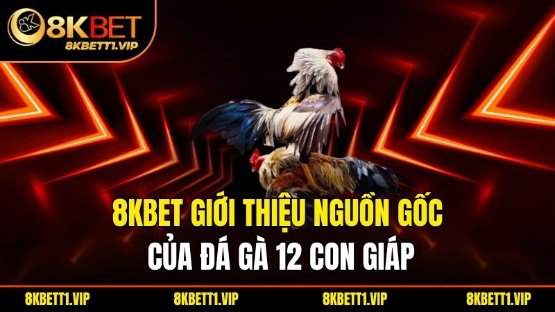 Đá Gà 12 Con Giáp - Khám Phá Thú Vị Trong Văn Hóa Việt 1 8KBET giới thiệu nguồn gốc của đá gà 12 con giáp