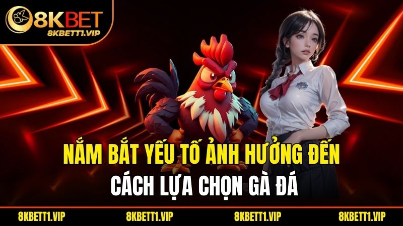 Đá Gà Cựa Tròn - Khám Phá Thế Giới Truyền Thống Đầy Hấp Dẫn 2 Nắm bắt yếu tố ảnh hưởng đến cách lựa chọn gà đá
